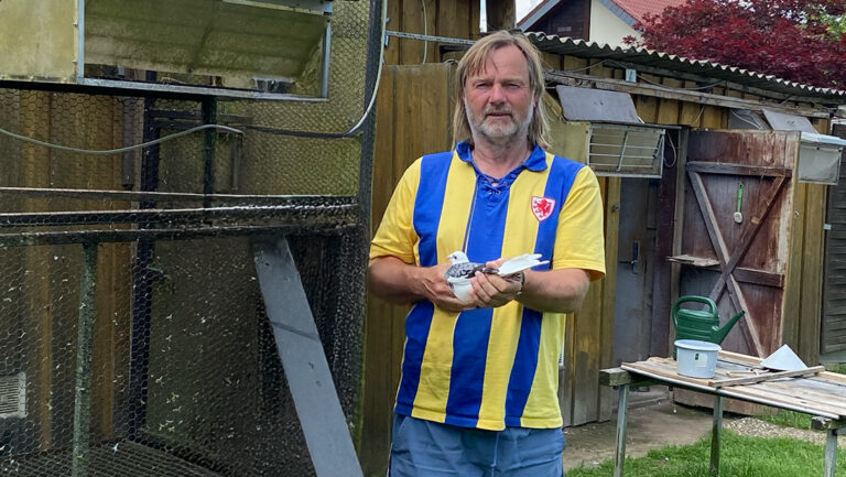 Ein Tag beim Wettflug meiner Tauben.