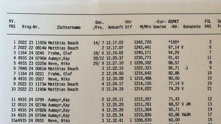 Wettflug – 5 meiner Tauben unter den 10 Besten